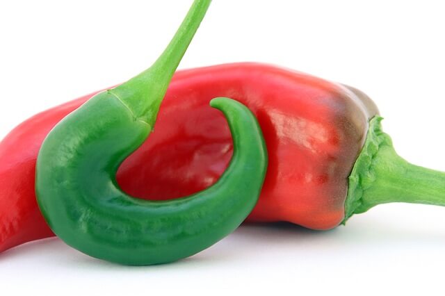papryczka chilli czerwona i zielona